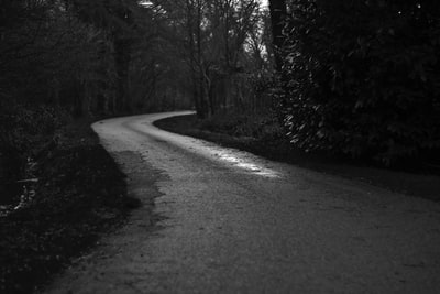 白天树木之间道路的灰度照片